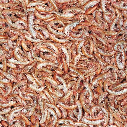 Tropical Gammarus 500ml/60g Pokarm Naturalny - zdjęcie 3