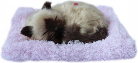 Askato Maskotka Interaktywna Śpiący Kotek