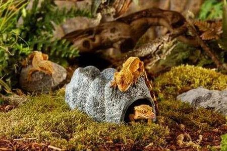 Exo Terra Wet Rock S wilgotna kryjówka, jaskinia - zdjęcie 2
