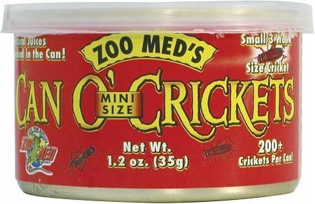 Zoomed Can O Crickets Mini Świerszcze 200szt