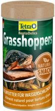 Zdjęcie Tetra ReptoDelica Grasshoppers 250ml  - Wiązów