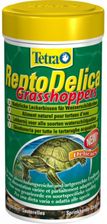 Zdjęcie Tetra ReptoDelicagrasshopper 250ml Pokarm żółwie - Wodzisław Śląski