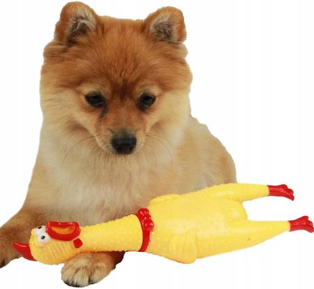 Zabawka kurczak 32cm gryzak z piszczałką dla psów