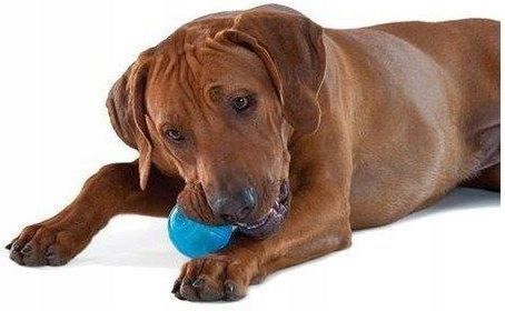 Petstages orka deals tennis ball