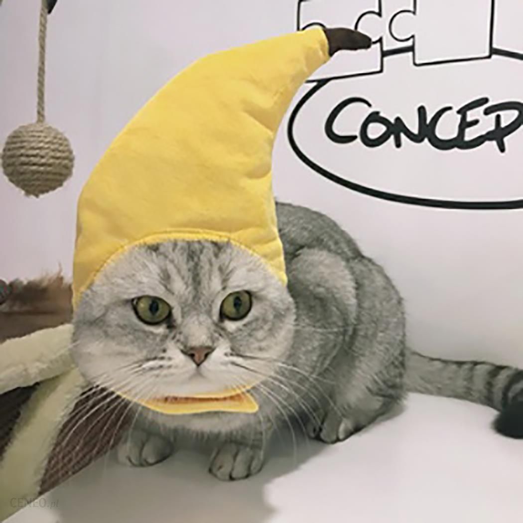 Czapka imprezowa dla kota kot marynarze czapka morska przebranie