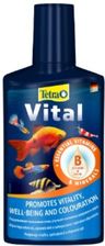 Zdjęcie Tetra Vital 250ml - Pogorzela
