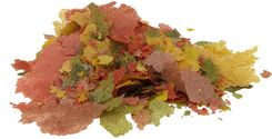 Tropical Ichtio-vit 1000ml / 190g Uzupełnienie