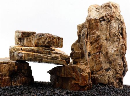 10 Kg Skamieniałe Drewno Kamień Akwarium Iwagumi