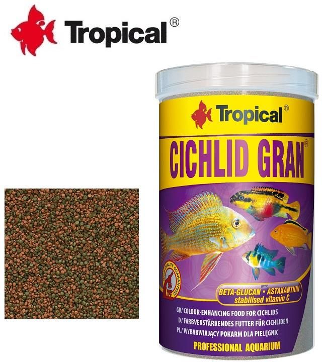 tropical cichlid gran