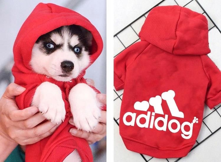 adidas bluza dla psa adidas bluza dla psa