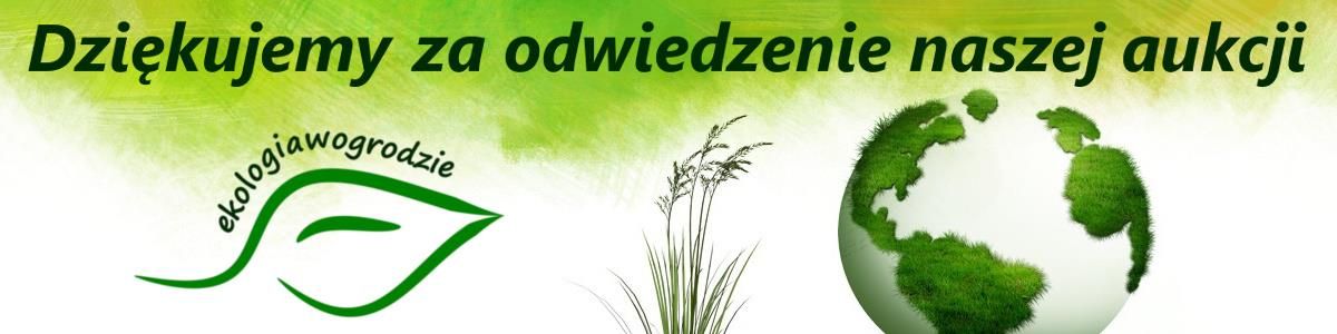 Mały ornitolog – karmnik zaokienny na przyssawki - zdjęcie 5 Mały ornitolog – karmnik zaokienny na przyssawki