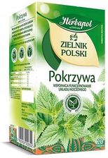 Zdjęcie Herbata Herbapol Zielnik Polski pokrzywa 20szt - Gryfice