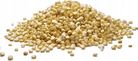 Komosa Ryżowa (quinoa) Biała 500g