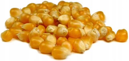Kukurydza Popcorn 5kg