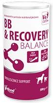 Zdjęcie VetFood BB&Recovery Balance 500g - Dęblin