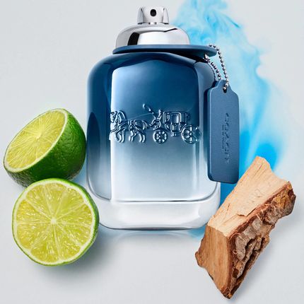 COACH BLUE Eau de Toilette 100ml 男性用 Coach Fragrances BLUE EAU DE TOILETTE - Woda toaletowa