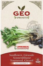Zdjęcie Słonecznik Bio Nasiona na Kiełki Geo Certyfik. 80g - Reda