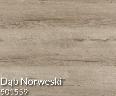 Korner Spc Floor Dąb Norweski (SPC501559)