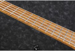 Ibanez Ehb1005Ms-Bkf - Gitara Basowa