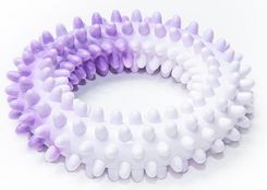 Zdjęcie Sum Plast Ring Z Kolcami Duży Dla Psa 14CM Zapach - Piastów