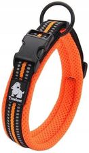 Zdjęcie Truelove obroża dla psa Activ pomarańcz odblaskowa - Łapy