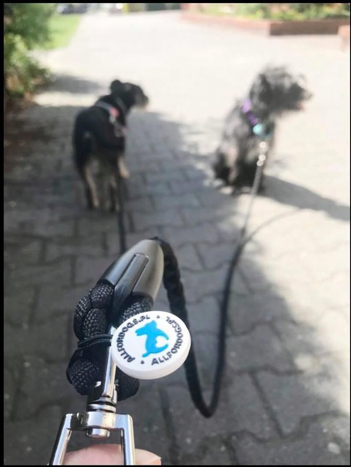All for Dogs Smycz podwójna antyzaplątaniowa - zdjęcie 2 All for Dogs Smycz podwójna antyzaplątaniowa