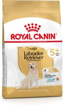 royal canin labrador 24kg