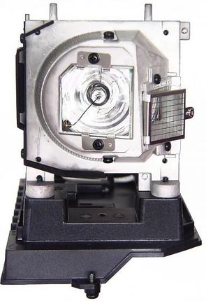 Oryginalna Lampa Do OPTOMA TW675UTiM-3D Projektor - SP.8JR03GC01 / BL-FU280C
