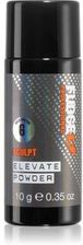 Zdjęcie Fudge Sculpt Elevate Powder puder do stylizacji do włosów 10g - Boguchwała