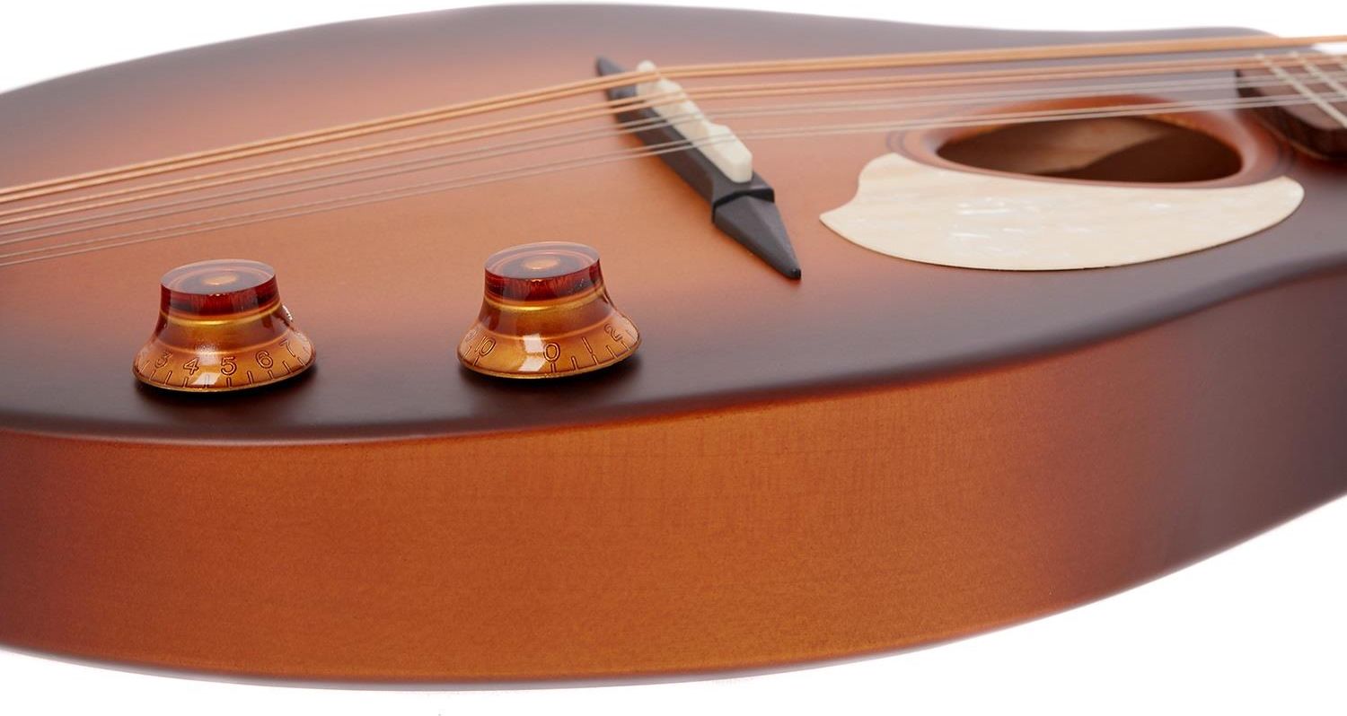 Seagull S8 Mandolin Sunburst EQ - Ceny i opinie - Ceneo.pl