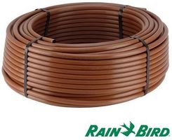 Zdjęcie RAIN BIRD LINIA KROPLUJĄCA 2,3 L/H XFD RAINBIRD 100 MB XFD01D - Police
