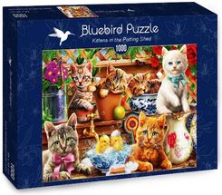 Bluebird Puzzle 1000el Slodkie Kocieta Ceny I Opinie Ceneo Pl