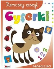 Zdjęcie Morex Książka Pierwszy zeszyt. Cyferki - Świdnik