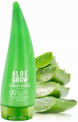 aloe vera zuhause Aloe vera (Echte Aloe) kaufen main image 0