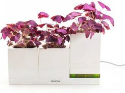 DesignNest Legrow Ekosystem Ogrodowy TG-P3 Eu (DH0059LEG3EU)