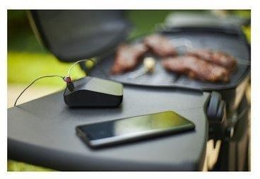 Weber Connect Smart Grilling Hub 3202 - ceny i opinie - Ceneo.pl