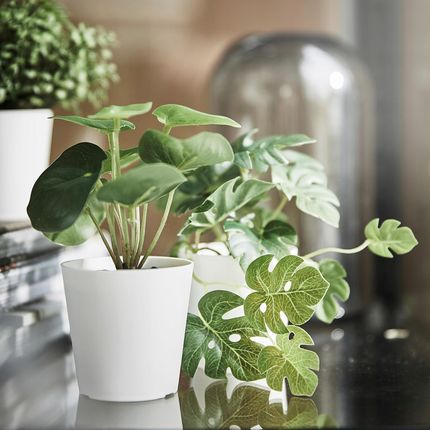 IKEA FEJKA SZTUCZNA ROLINA LI MONSTERA 3SZT - Opinie i atrakcyjne ceny  na Ceneo.pl