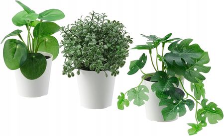 IKEA FEJKA SZTUCZNA ROLINA LI MONSTERA 3SZT - Opinie i atrakcyjne ceny  na Ceneo.pl
