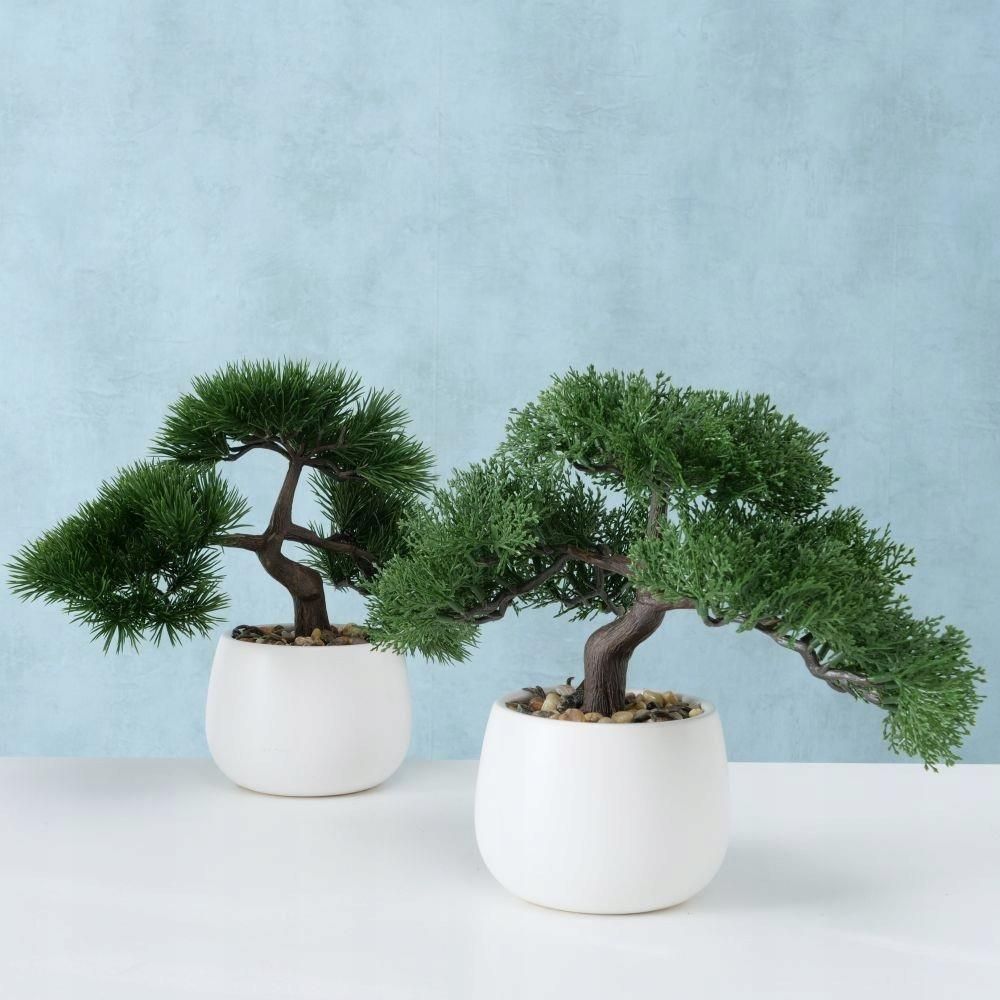 DRZEWKO BONSAI W DONICZCE LIAN WZÓR 1