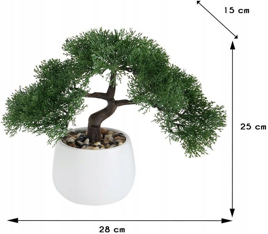 DRZEWKO BONSAI W DONICZCE LIAN WZÓR 1