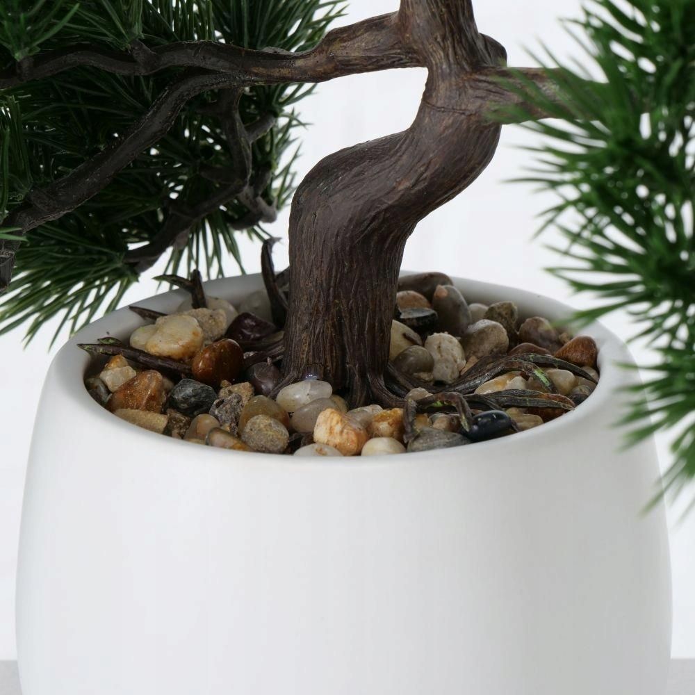 DRZEWKO BONSAI W DONICZCE LIAN WZÓR 1 - zdjęcie 3 DRZEWKO BONSAI W DONICZCE LIAN WZÓR 1