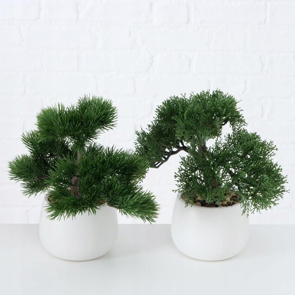 DRZEWKO BONSAI W DONICZCE LIAN WZÓR 1 - zdjęcie 4 DRZEWKO BONSAI W DONICZCE LIAN WZÓR 1