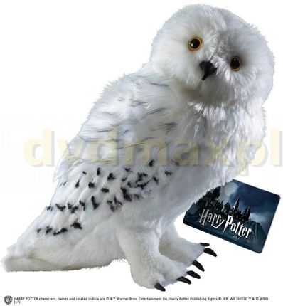 Harry Potter: Hedwig