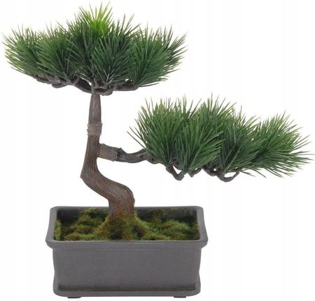 heiliger bambus lemon lime Heiliger Bambus 'Gulf Stream' / Nandina domestica 'Gulf Stream' online  kaufen