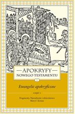 Zdjęcie Apokryfy Nowego Testamentu. Ewangelie apokryficzne. Tom 1. Część 1. Fragmenty. Narodzenie i dzieciństwo Maryi i Jezusa, wydanie 3 - Wałbrzych