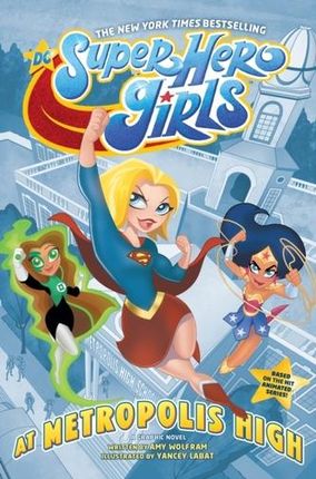 DC Super Hero Girls: At Metropolis High Wolfram, Amy