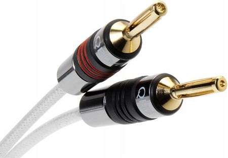 QED Silver Anniversary XT 1mx 2本　新品金プラグ付 QED Silver Anniversary XT - Opinie i ceny na Ceneo.pl