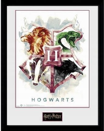 PLAKAT W RAMCE 30 X 40 HARRY POTTER