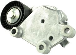 Zdjęcie Fast Napinacz Paska Micro-V Ford Transit Connect 13 Kpl (FT44619) - Mszana Dolna