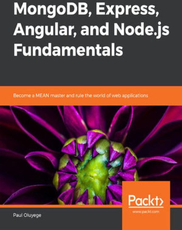 MongoDB, Express, Angular, and Node.js Fundamentals (e-book) - Ceny i ...